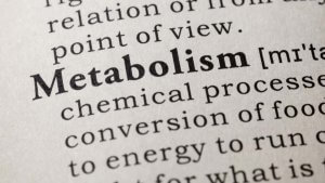 Acelerar Metabolismo